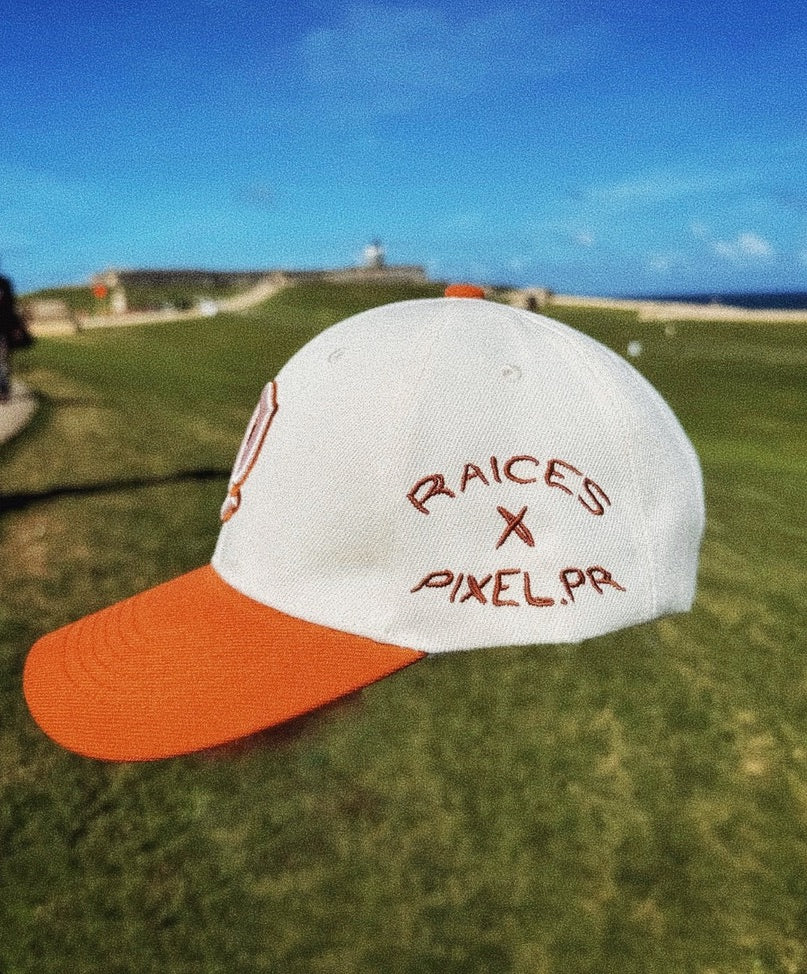 Raices  Ancestry Cap